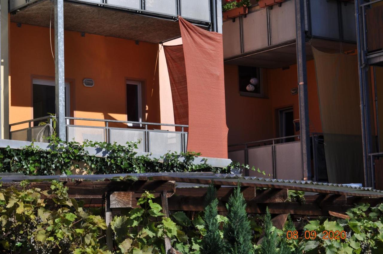 Pension Di Pino Aue  Εξωτερικό φωτογραφία